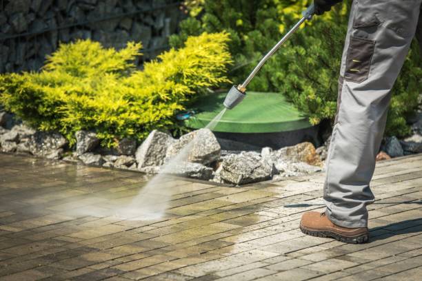 Best Solar Panel Cleaning  in Leonia, NJ