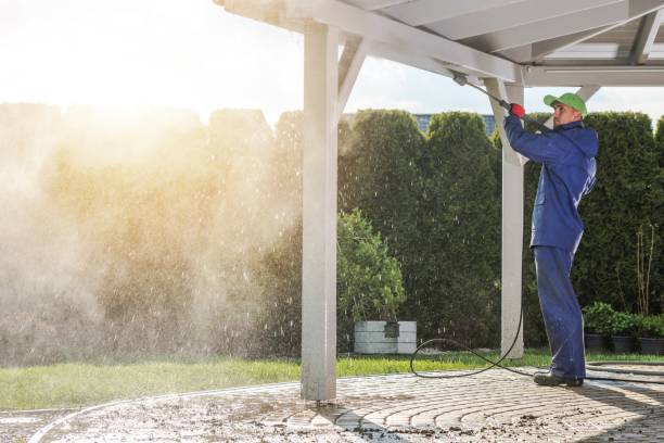 Pre-Holiday Cleaning in Leonia, NJ